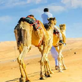 Congratulations Naser